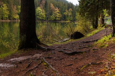 Yağmurlu bahar gününden sonra Sinevir Gölü. Ukrayna 'daki en büyük dağ gölü. Zakarpatska bölgesi, Ukrayna.