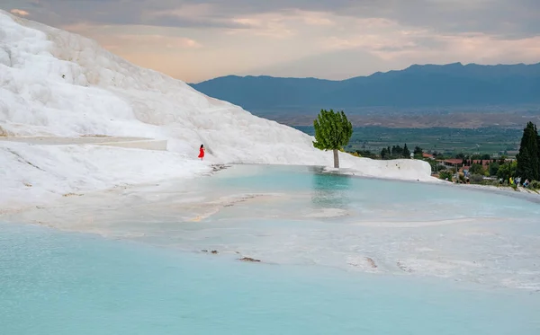 Pamukkale Terrazze Calcaree Solitudine Figura Donna Rosso Vicino All Albero — Foto Stock