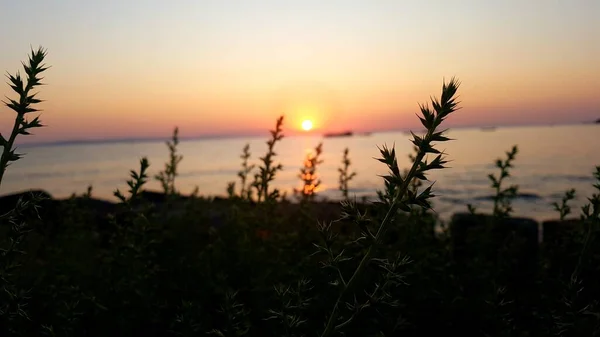 Sonnenaufgang Strand Griechenland — Stockfoto