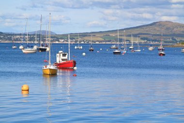 Limanda demirli tekneler