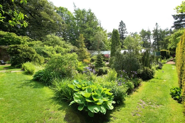 夏の植物園 — ストック写真