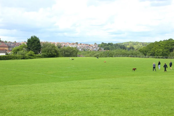 Mensen Die Hun Honden Uitlaten Het Park — Stockfoto