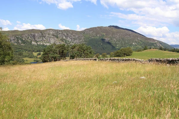 Bewachsenes Gras Mit Steinmauer Und Berg Blick — Stockfoto