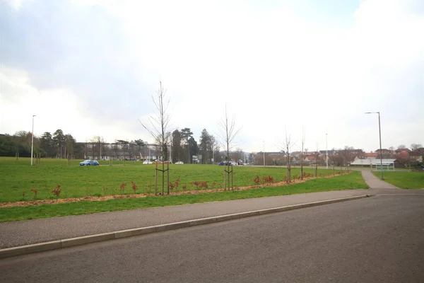 Uitzicht Het Park Tegenover Het Huis — Stockfoto