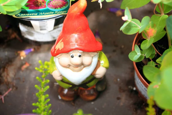 Dwarf Gnome Garden — Stock Photo, Image