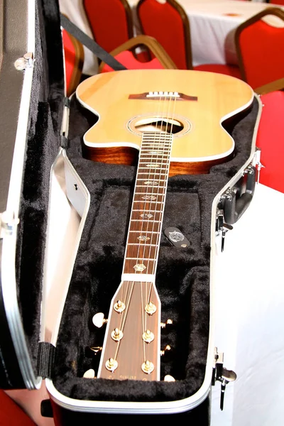 guitar in its case