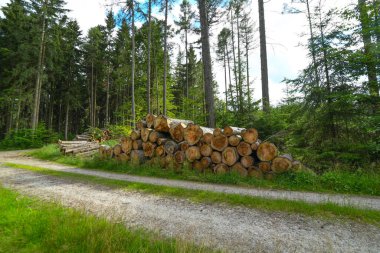 Orman yolunda odun yığdım.