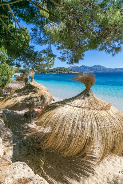Hasır şemsiyeler Cala Formentor, Maiorca - İspanya