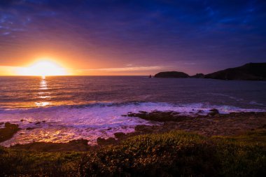 Güzel bir gün batımı önünde çiçek sahada Sardunyalı deniz