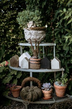 Bahçedeki bir rafta dekoratif eşyalar ve bitkiler