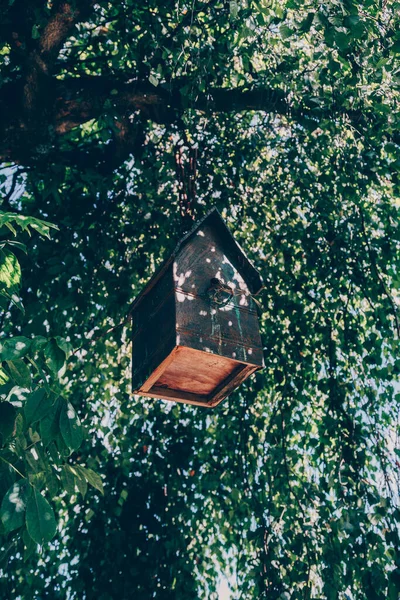 Casa degli uccelli, nido, mangiatoia, appeso ad un albero — Foto Stock