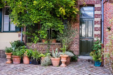 Kozalaklı sokakta bitkilerle dolu tuğla bir ev.