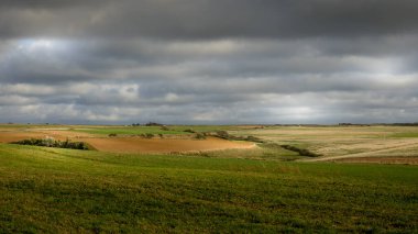 Ülke, çayırlar ve opal sahildeki tarlalar