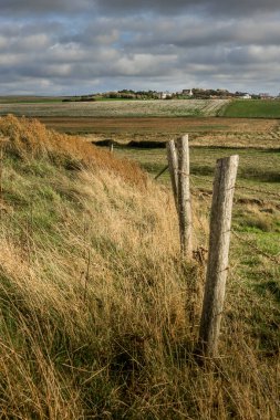 Ülke, çayırlar ve opal sahildeki tarlalar