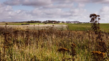 Kırsal kesimde bir köy. Bulutlu tarlalar ve gökyüzü