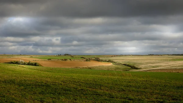 Ülke, çayırlar ve opal sahildeki tarlalar