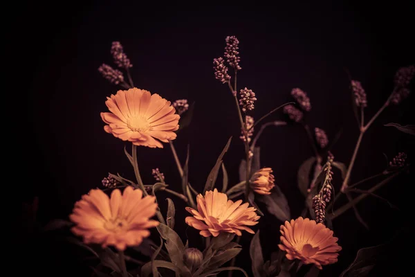 Composição floral colorida. Buquê de flores de laranja Fotografia De Stock