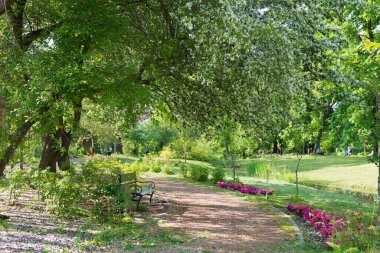 Saint-Petersburg 'da güneşli bir günde yaz parkı..