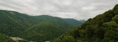 Krasnaya Polyana Sochi Dağları. Rusya.