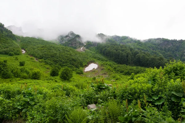 クラスナヤ ポリアナ ソチの山 ロシア — ストック写真