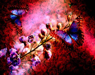 Çiçeklerin arka planında iki kelebek.