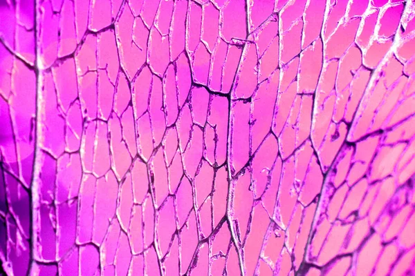 Lilac Zilveren Mesh Textuur — Stockfoto