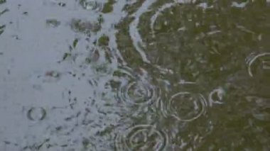 Yüzeye düşen yağmur damlaları. Howrah, Batı Bengal, Hindistan 'da çekildi - Hindistan muson yağmurları görüntüleri,