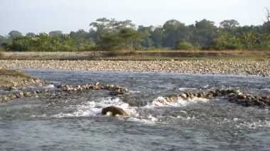 Murti nehri sabah, nehir yatağı ön planda akan su ve taşlarla. Dooars manzarasının manzara güzelliği, Batı Bengal, Hindistan