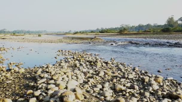 Murti Riverbed Morning Riverbed Foreground Flowing Water Stones Scenic Beauty — Stock Video