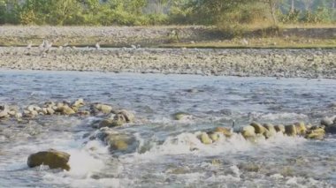 Murti nehri sabah, nehir yatağı ön planda akan su ve taşlarla. Dooars manzarasının manzara güzelliği, Batı Bengal, Hindistan