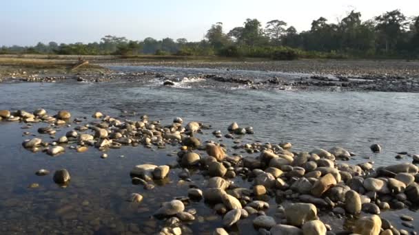 Murti River Morning Riverbed Foreground Flowing Water Stones Beautiful Dooars — Stock Video