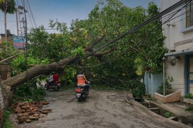 Howrah, Batı Bengal, Hindistan - 21 Mayıs 2020: Süper Kasırga Amphan devrilen ve yolu tıkayan ağacı söktü. Vatandaşlar tehlikeli bir şekilde hayatlarını motosiklet ve scooterla tehlikeye atıyorlar..
