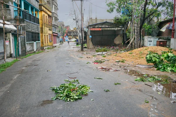 Howrah Bengala Occidental India Mayo 2020 Super Ciclón Árbol Desarraigado — Foto de Stock