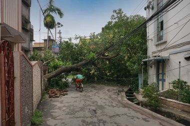 Howrah, Batı Bengal, Hindistan - 21 Mayıs 2020: Süper Kasırga Amphan devrilen ve yolu tıkayan ağacı söktü. Vatandaş bisikletle tehlikeli bir şekilde hayatını tehlikeye atıyor..