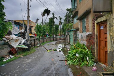 Howrah, Batı Bengal, Hindistan - 21 Mayıs 2020: Süper kasırga Amphan kökünden söküldü, bir kısmı yola düştü. Yıkım birçok ağacı yere düşürdü..