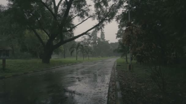 インドの西ベンガル州ハウラー 2018年8月19日 両側に緑の木がある雨の下で車線の低光の映像 車が通り過ぎる インドのモンスーンの映像 — ストック動画