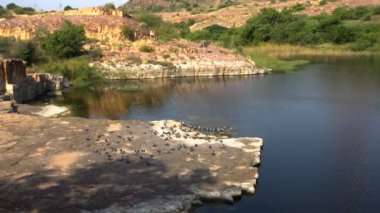 Güvercinler Jasawant Thada, Jodhpur, Rajasthan, Hindistan 'daki su birikintisinin yanında toplanıyor..