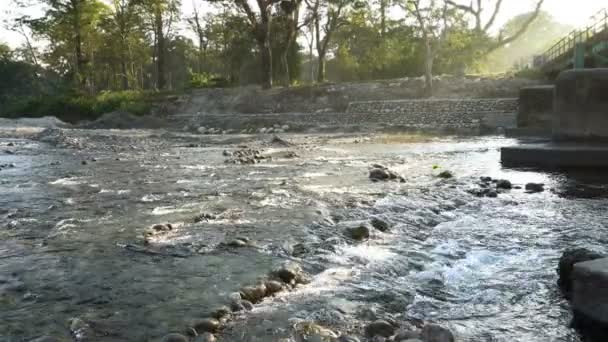아침에는 흐르고 앞에는 흐르는 돌들이 강바닥이 웨스트 벵골의 아레스 풍경의 — 비디오