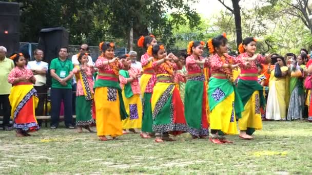 インドの西ベンガル州コルカタ2020年3月9日 カラフルな伝統的なインドのサリーを着た若い女の子たちが パフォーマンスを見ながらホリ祭りで踊っています コルカタの春 — ストック動画