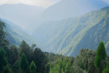 Himalaya dağ yamaçları arasında yeşil bir vadi. Önünde ağaç çizgileri var. Hindistan 'ın Sikkim şehrinde sabah sisi ile vurulmuş..