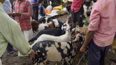 Kolkata, Batı Bengal, Hindistan - 11 Ağustos 2019: 