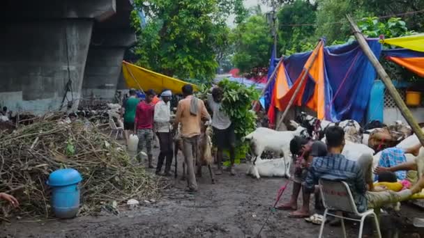 Kolkata Bengala Ocidental Índia Agosto 2019 Folhas Sendo Transportadas Por — Vídeo de Stock