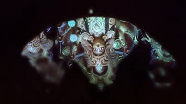 Tanrıça Durga 'nın kutsal yağ üzerindeki yansıması, Hindu ayini Saptami' de yapılıyor. Sığ alan derinliğindeki yansımaya odaklan. Durga, Howrah, West Bengal, Hindistan 'daki HD görüntüleri..