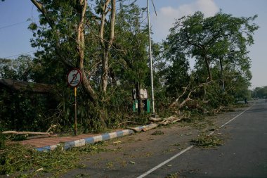 Kolkata, Batı Bengal, Hindistan - 23 Mayıs 2020: Süper Kasırga Amphan devrilen ve kaldırımı tıkayan ağacı söktü. Yıkım birçok ağacı yere düşürdü..