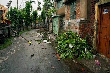 Howrah, Batı Bengal, Hindistan - 21 Mayıs 2020: Süper kasırga Amphan kökünden söküldü, bir kısmı yola düştü. Yıkım birçok ağacı yere düşürdü..