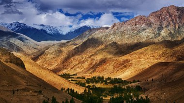 Ortasında yeşil vadi olan Ladakh 'ın güzel kayalık manzarası, ışık ve gölge oyunu, Jammu ve Kashmir, Leh, Hindistan