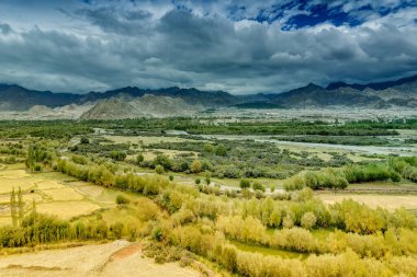 Leh şehrinin havadan görünüşü, buzdan tepeli yeşil manzara, arkaplanlı mavi gökyüzü, Ladakh, Jammu ve Kashmir, Hindistan.