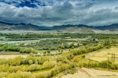Leh şehrinin havadan görünüşü, buzdan tepeli yeşil manzara, arkaplanlı mavi gökyüzü, Ladakh, Jammu ve Kashmir, Hindistan.