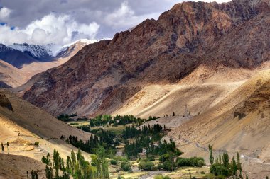 Ortasında yeşil vadi olan Ladakh 'ın Rocky manzarası, ışık ve gölge Jammu ve Kashmir, Leh, Hindistan