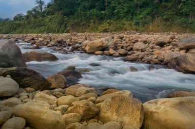 Joldhaka nehri yatağı, Jhalong - Dooars, Kuzey Bengal - Batı Bengal, Hindistan